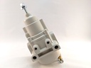REGULATOR TYPE 50 1/4" PORTS 0-60 PSI W/FILTER & DRIPWELL