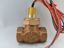 FS-200 FLOW SWITCH SET AT 5 GPM