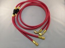 5' RED HOSE W/FILTER (830)