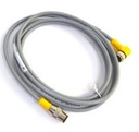 4-Wire Straight M12 Eurofast Cordset 2M Length