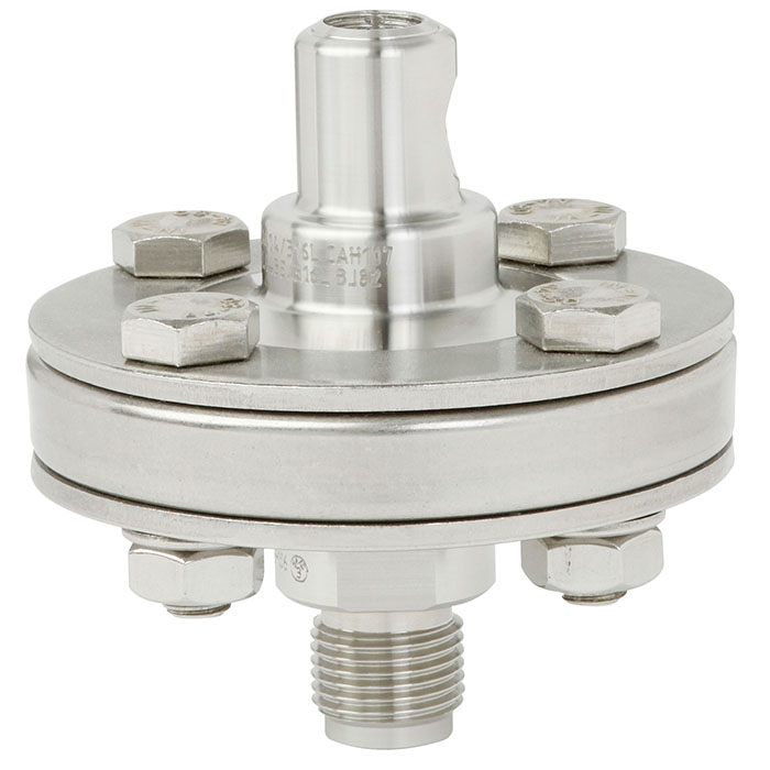 CHEMSL 990.1X DN50 1/4NPT-F SS SS