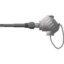3 WIRE 100OHM RTD WITH THERMOWELL, 12" OVERALL LENGTH, ALUMINUM HEAD