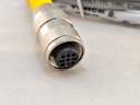 RK 4.4T-2/S618 M12 EUROFAST 4WIRE FEMALE CORDSET 2M LENGTH