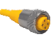 WSM 20-8M, Male, 7/8" Minifast, Cordset, 2 Wire, 8M Length, Straight