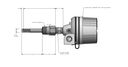 Dual RTD, Insertion 2.75", Temperature Range 0-100C