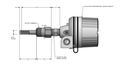 Dual RTD, Insertion 2.00", Temperature Range 0-100C