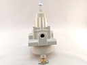 REGULATOR TYPE 50 1/4" PORTS 0-60 PSI W/FILTER & DRIPWELL