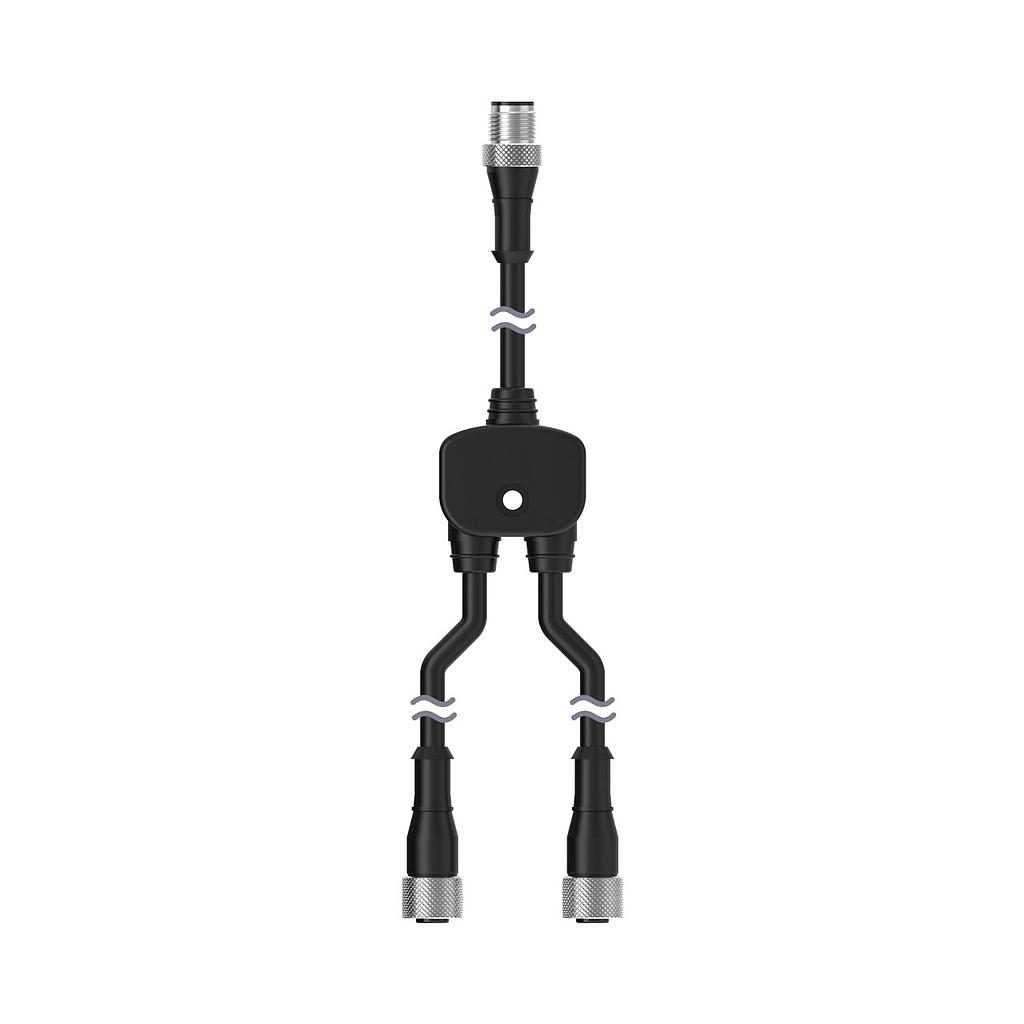 Banner Splitter Cable, 4-pin M12 QD; Straight Male Trunk 0.3 m; Two Straight Female Branches 0.3 m; Standard Wiring for Two Separate Black Wire Outputs (CSA-M1241M1241)