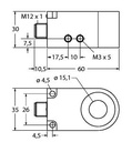 Turck Inductive Sensor, Ring Sensor (BI15R-W30-DAP6X-H1141)