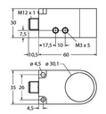 Turck Inductive Sensor, Ring Sensor (BI30R-W30-DAN6X-H1141)