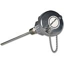 Watlow RR Style RTD, Single 3-Wire, 1/4" OD x 4" Thermowell (SS, 49/64"), Cast Iron Head