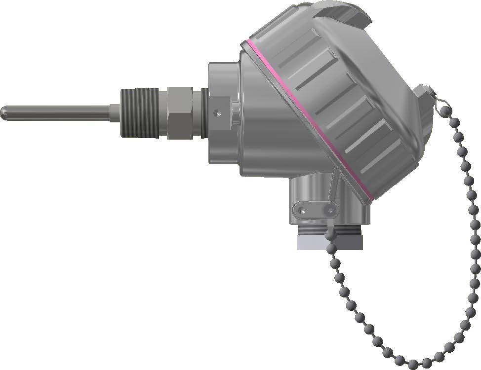Pyromation Fixed-Sheath RTD, Single 4-Wire, 1/4" OD, 2" SS Sheath, Aluminum Head, 1/2 NPT Nylon Cond Reducer Bushing