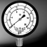 Diaphragm Gauge, 2.5" Dial, 1/4"NPT Center Back Mount, 0-100"H2O VAC
