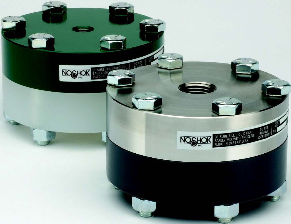 TYPE 10L Reduced Pressure, Non-Metallic Lower, Bolted Replaceable Diaphragm Seal
