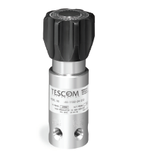 Pressure Reducing Regulator,303ss Body,0-500psig