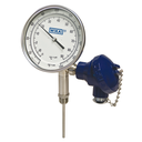 Wika TT.52 Series Twin-Temp Thermometer, 0 to 200 °F