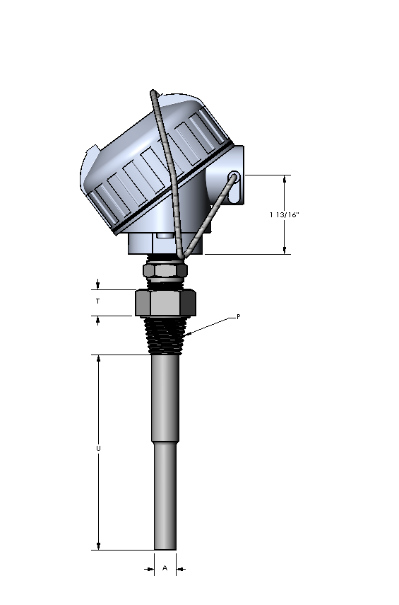 Watlow RR Style RTD w/Double Fitting, Single 2-Wire, Cast Alum. Conn. Head, 1/4" OD, 4" SS Sheath, 1/2" NPT Fitting