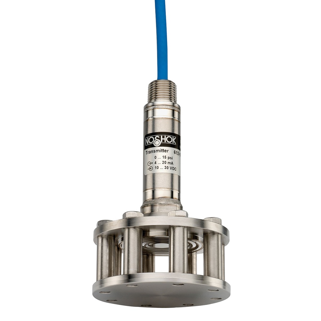 613 Series Cage-Protected Submersible Level Transmitter, 0 psi to 10 psi, 120' Std PUR Cable, Desiccant Cartridge