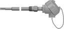 Pyromation Spring-Loaded RTD, Single 3-Wire, 1/4" OD x 14" Thermowell (SS, 3/4 NPT), Aluminum Head