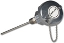 Watlow RR Style RTD w/Double Fitting, Single 3-Wire, Cast Iron Conn. Head, 1/4" OD, Spring Loaded, 3/4" NPT SS Thermowell (4" U-Length, 0.75" Lag)