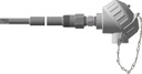 Pyromation Spring-Loaded RTD, Single 3-Wire, 1/4" OD, 14" SS Sheath, PP Head, 14" Thermowell (SS, 3/4 NPT)