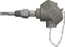 Pyromation Spring-Loaded RTD, Single 3-Wire, 1/4" OD, SS Head, 5.5" Thermowell (SS, 1/2 NPT)