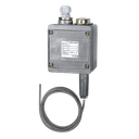 Barksdale Remote Mount Temperature Switch, Dual switch (2 SPDT), NEMA 4 Enclosure, 50-250F range, 12FT Capillary, 304 SS ARMOR