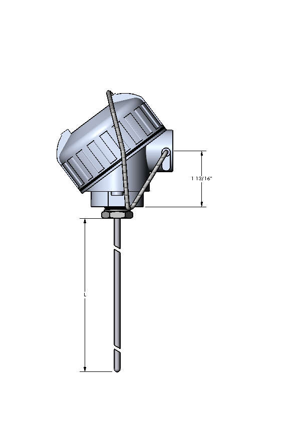 Watlow RR Style RTD w/Single Fitting, Single 2-Wire, Cast Iron Conn. Head, 1/4" OD, 14" SS Sheath, Single Threaded Fitting