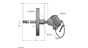 3 Wire RTD, 19 Inch, 3" 150lb RF Flange, 304SS