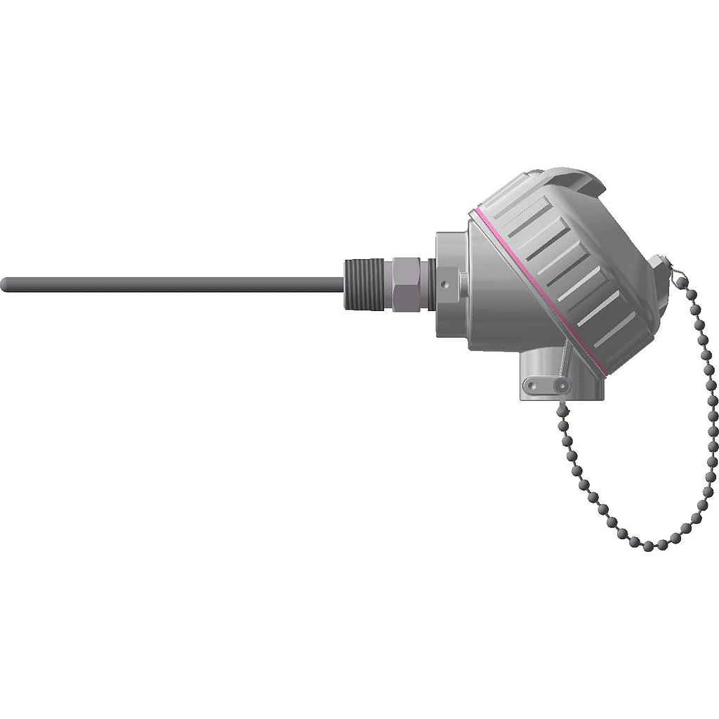 SPRING LOADED RTD WITH CONNECTION HEAD AND TRANSMITTER 4" LENGTH