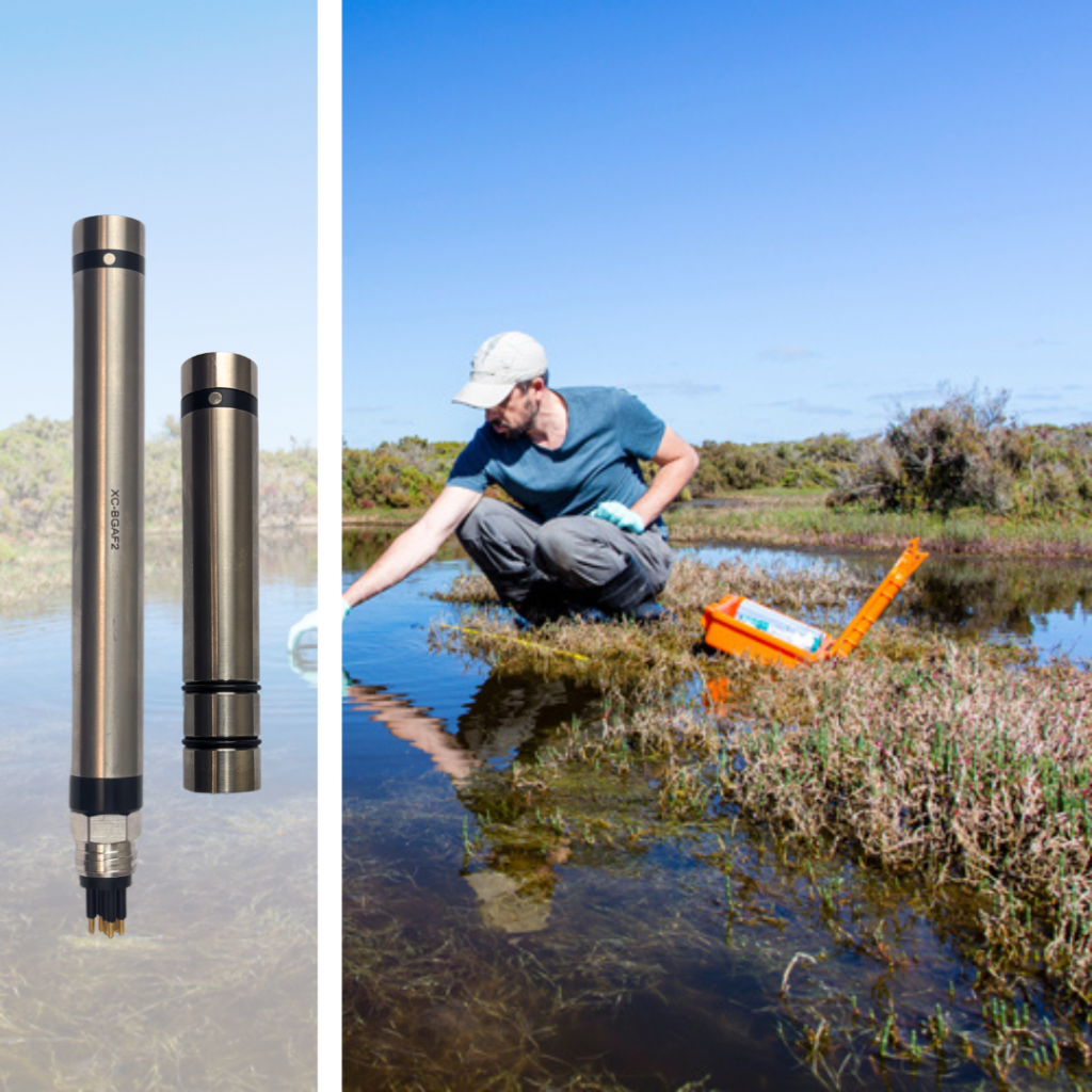 Van London Blue Green Algae (Phycocyanin) Sensor with Teledyne Connector