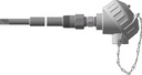 3 WIRE 100OHM RTD WITH THERMOWELL, 8" OVERALL LENGTH, WHITE POLY HEAD 