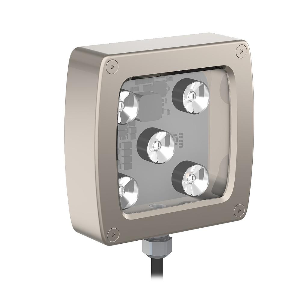 WLC90 Work Light (WLC90WL30)