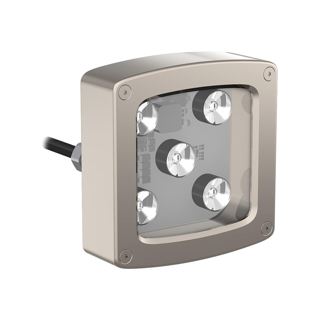 WLC90 Work Light (WLC90WL8R)