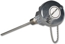 Watlow RR Style RTD, Single 3-Wire, 5750 Transmitter, Cast Aluminum Head