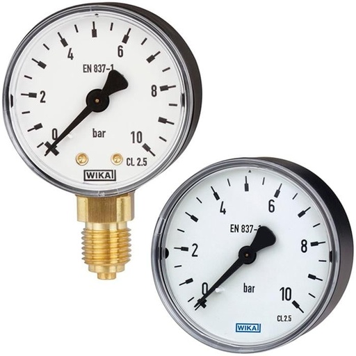 [6900-99] 111.10 Series Brass Dry Pressure Gauge