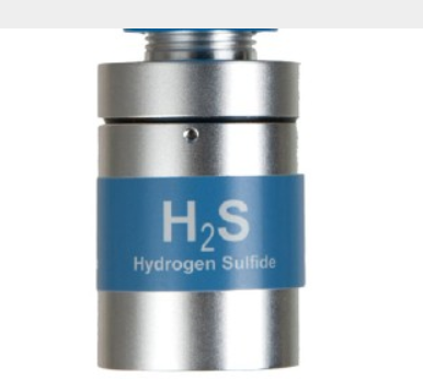 [5200-05-IT] SMC Sentry Sensor Cell, IT, H2S, ppm