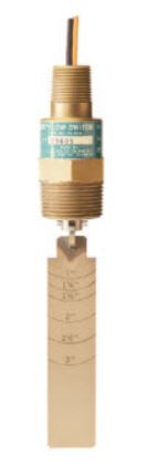 [29608] FS-550 Series - High Pressure, Metal Paddle Switch, 1" NPT, SPDT, 316 SS Body, 302SS Paddle