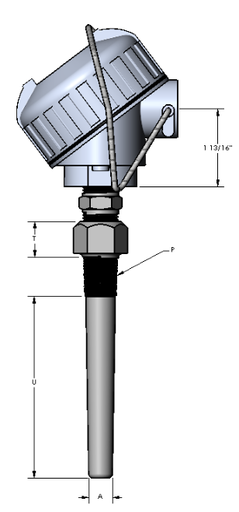[2096-3561] Watlow RR Style RTD, Single 2-Wire, 1/4" OD x 2.5" SS Sheath, Thermowell (SS, 5/8"), Aluminum Head