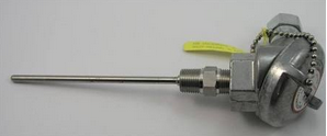 [2290L383-100-8HN31, I] Pyromation RTD Averaging Sensor, Int. Isol. Elem., Single 3-Wire, 1/2" NPT, Aluminum Head, 3/16" OD, 100" SS Sheath, SS Tag