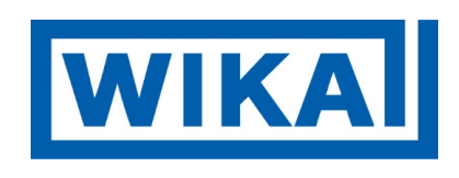 [52910082] Wika TC15 - 1/8" Single Type K Thermocouple (x 2) w/ Special Hex Nipple and Pipe(HR160 Material)