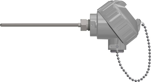 [R1T185L483-006-00-9HP31,SB] Pyromation Fixed-Sheath RTD, Single 3-Wire, 1/4" OD, 6" SS Sheath, Aluminum Head, 1/2 NPT Conduit Reducer Bushing
