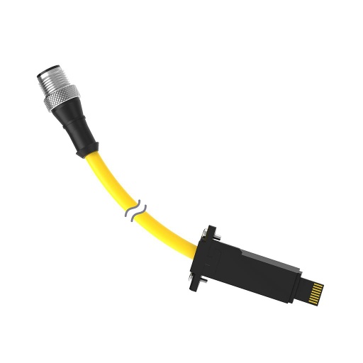 [82800] Banner Cordset: Double-Ended M12 to LP-Custom; 8-pin Straight Male; 8-pin Straight Male; 0.3 m 8x22 Black PVC Jacket; Nickel-Plated Brass Coupling Nuts (DELPE-81DB)