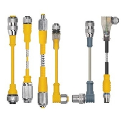 [U-39874] Turck Actuator and Sensor Cordset, Extension Cordset (RKSV 10T-10-RSSV 10T)