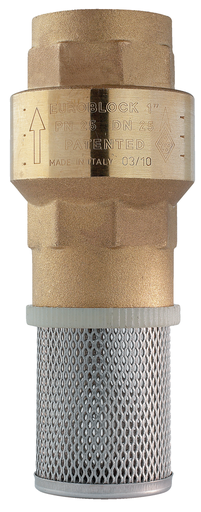 100102 Euroblock Series, High flow rate, brass FNPT Threaded, Spring Loaded Foot Valve