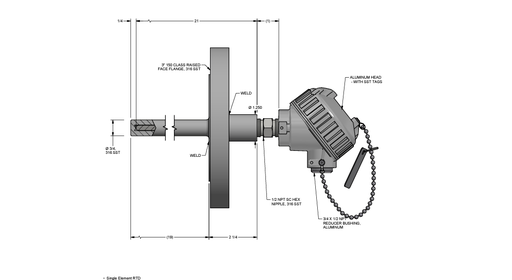 [RAF185L483-SF430R12109S-SC-8HN31-D2,I] 3 Wire RTD, 19 Inch, 3" 150lb RF Flange, 304SS