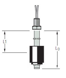 [W1128381] Gems LS-700, Single Point Level Switch, LS-700-6-BR-BN-SPST-020-GR1-1