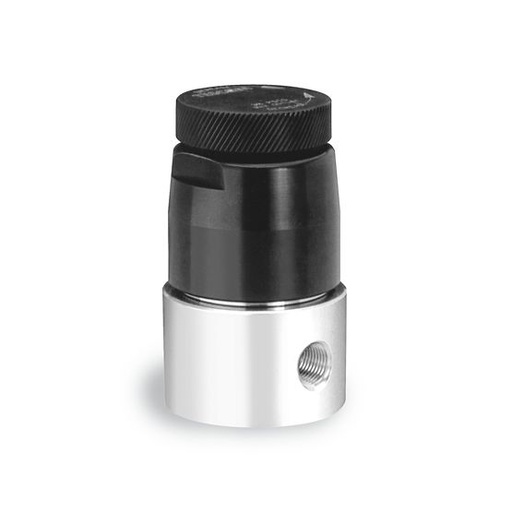 [04-1A1AAANNZ] 04 Series Pressure Regulator